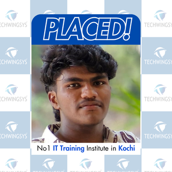 Vighnesh S placed at Grapes Innovative Solutions