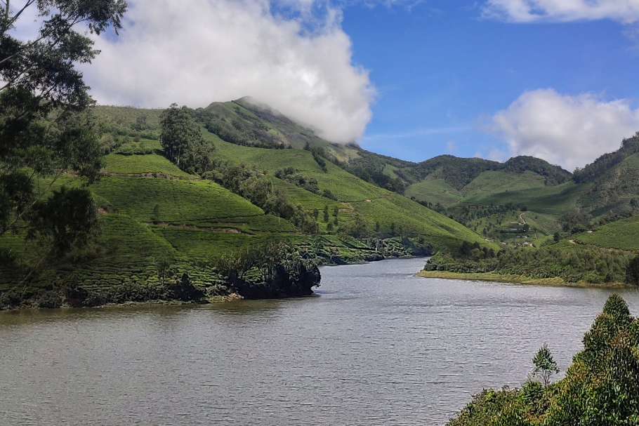 Thekkady Package